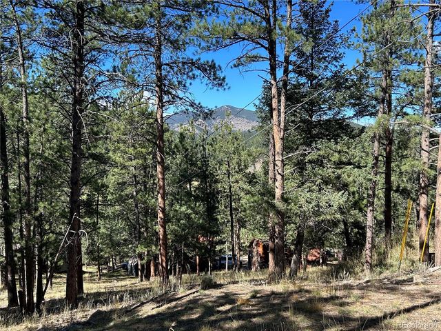 0 Pine Road, Evergreen, CO 80439