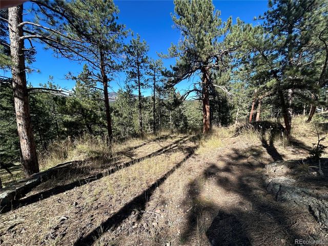 0 Pine Road, Evergreen, CO 80439