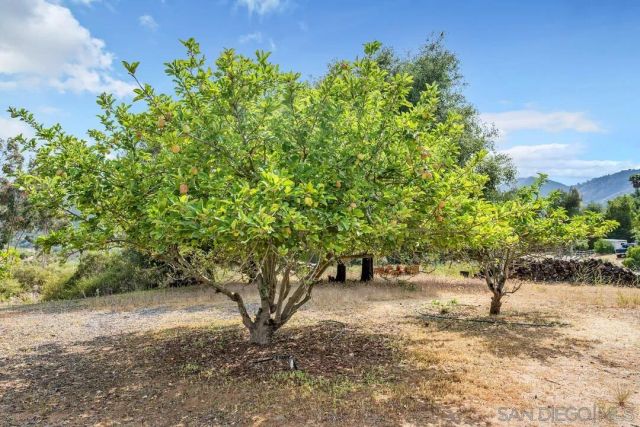 3453 Via Loma Vista, Escondido, CA 92029