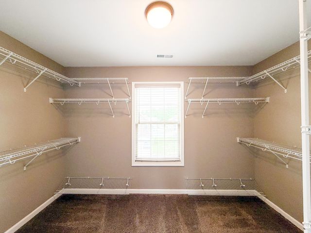 324 Winter Terrace Ln, Clarksville, TN 37040