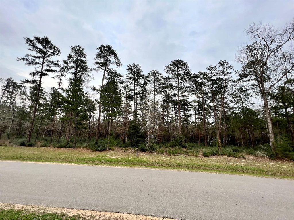 TBD 5 Lily Bean, Montgomery, TX 77316