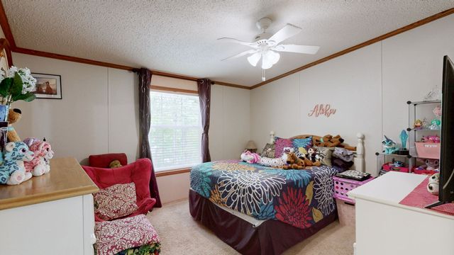 116 Crocker Rd, Buchanan, TN 38222