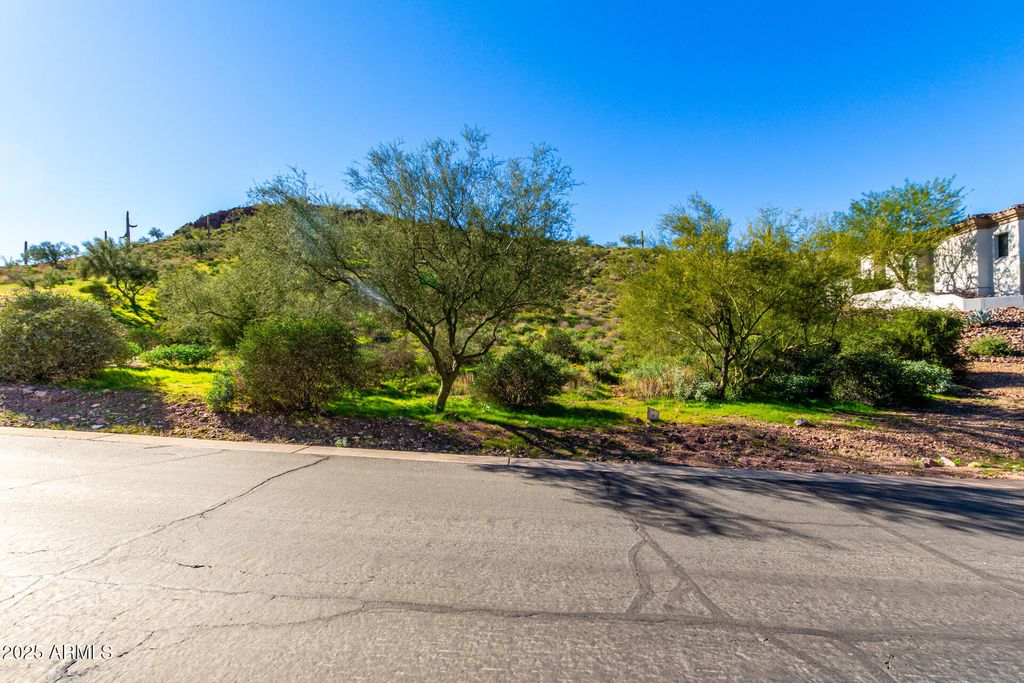 4264 S Avenida De Angeles -- 43, Gold Canyon, AZ 85118 — photo 4