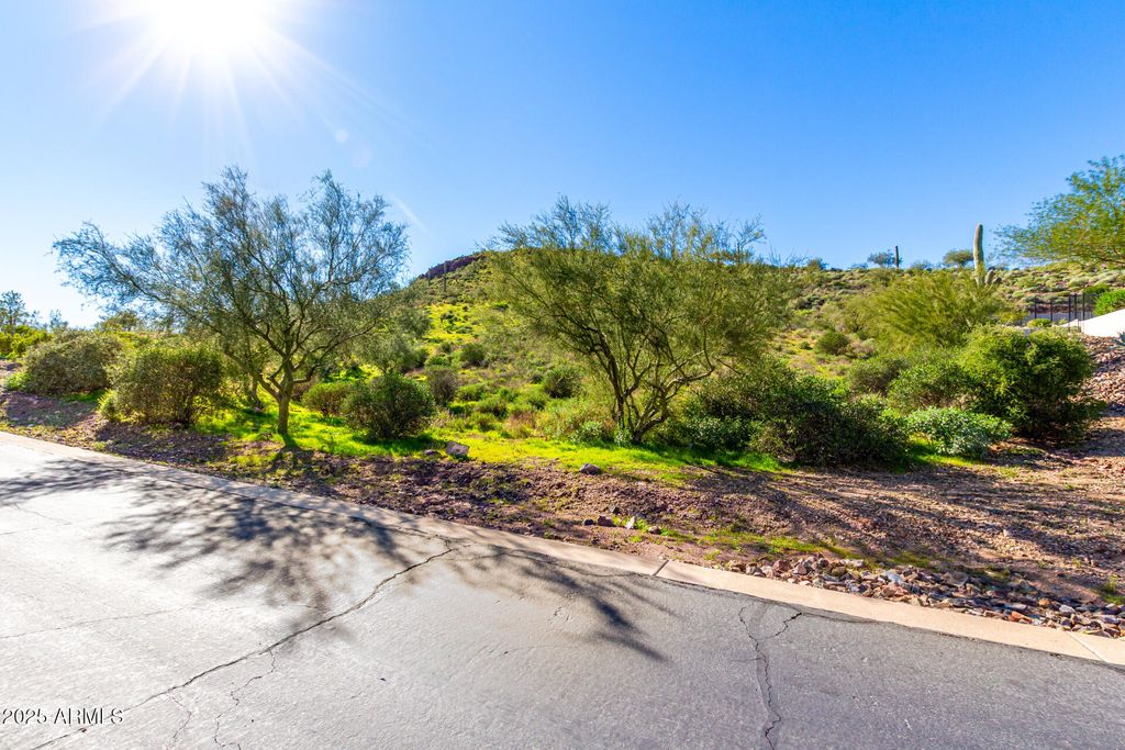 4264 S Avenida De Angeles -- 43, Gold Canyon, AZ 85118 — photo 5