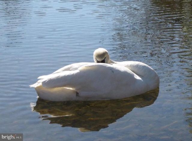 104 CONFEDERATE DR, Locust Grove, VA 22508