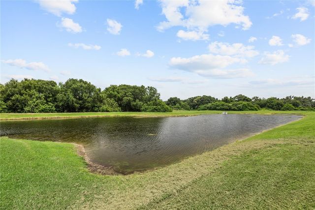 11722 WHITE WILLOW LANE, Riverview, FL 33569