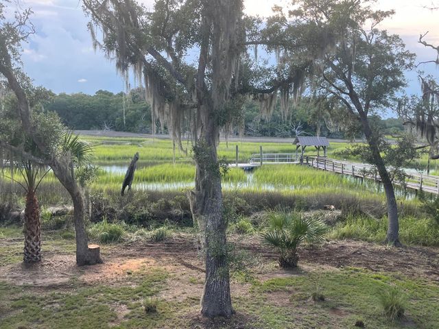 8374 Chisolm Plantation Road, Edisto Island, SC 29438