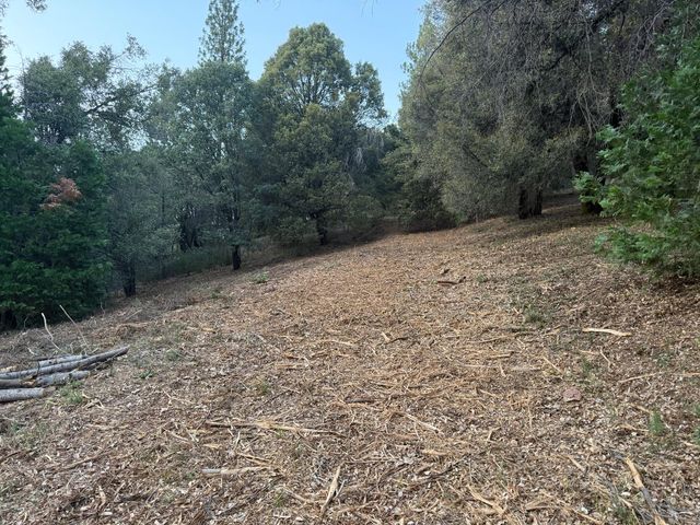 3361 Bay Leaf, Garden Valley, CA 95633