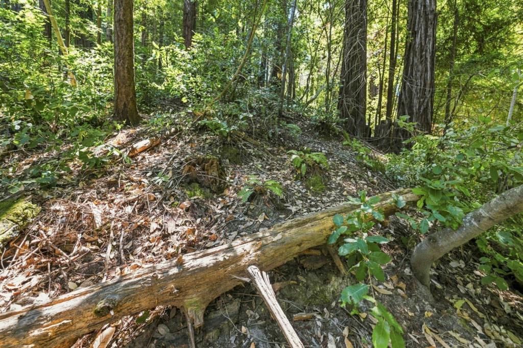 Image 15 of property listing at 1130 Blue Ridge Drive, Boulder Creek, CA 95006