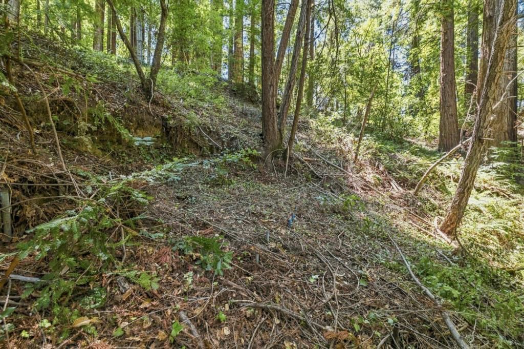 Image 2 of property listing at 1130 Blue Ridge Drive, Boulder Creek, CA 95006
