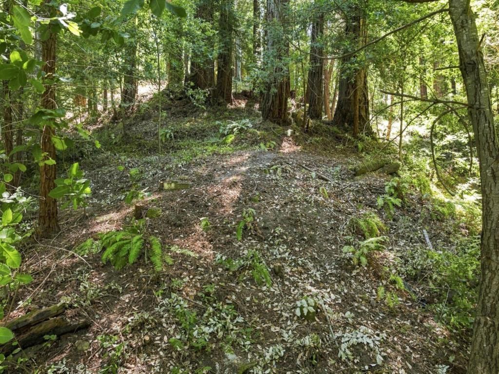 Image 25 of property listing at 1130 Blue Ridge Drive, Boulder Creek, CA 95006