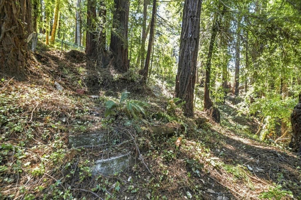 Image 7 of property listing at 1130 Blue Ridge Drive, Boulder Creek, CA 95006