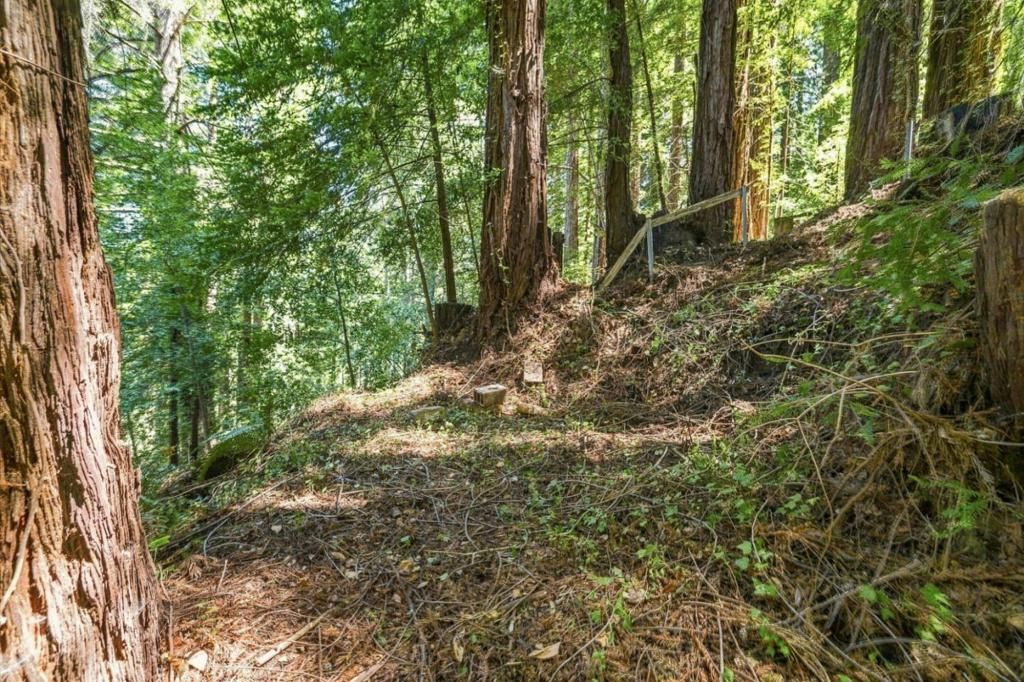 Image 8 of property listing at 1130 Blue Ridge Drive, Boulder Creek, CA 95006