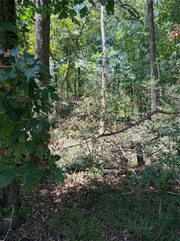 TBD Wolf Run, Livingston, TX 77351