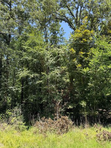 TBD Wolf Run, Livingston, TX 77351