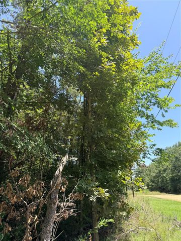 TBD Wolf Run, Livingston, TX 77351