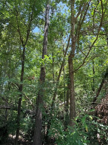 TBD Wolf Run, Livingston, TX 77351