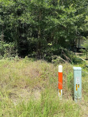 TBD Wolf Run, Livingston, TX 77351