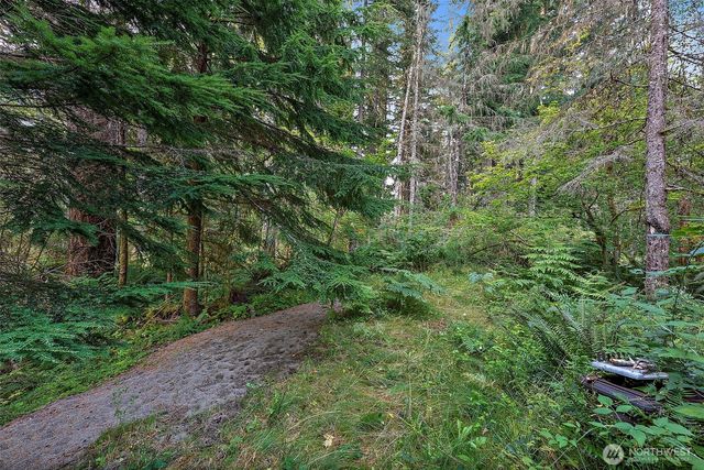 270 Skate Creek Road N, Ashford, WA 98304