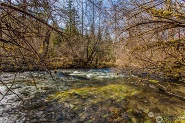 270 Skate Creek Road N, Ashford, WA 98304