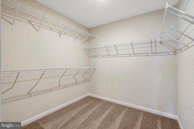 35602 PINE NEEDLE LN, Locust Grove, VA 22508
