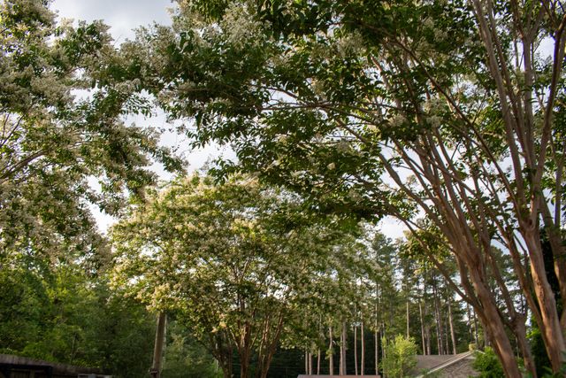 65 Linda Gayle Drive, Barnwell, SC 29812