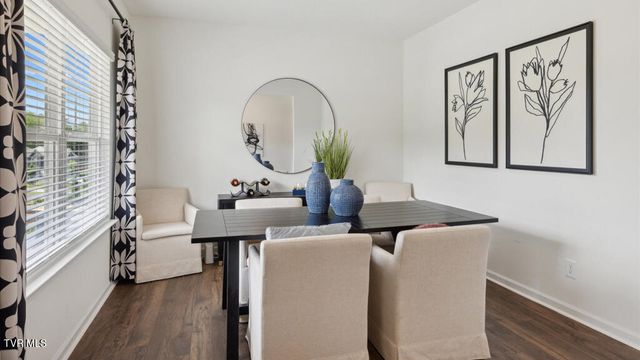 237 Chimney View Loop, Blountville, TN 37617