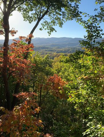 478 Cohutta Mountain Road, Blue Ridge, GA 30513