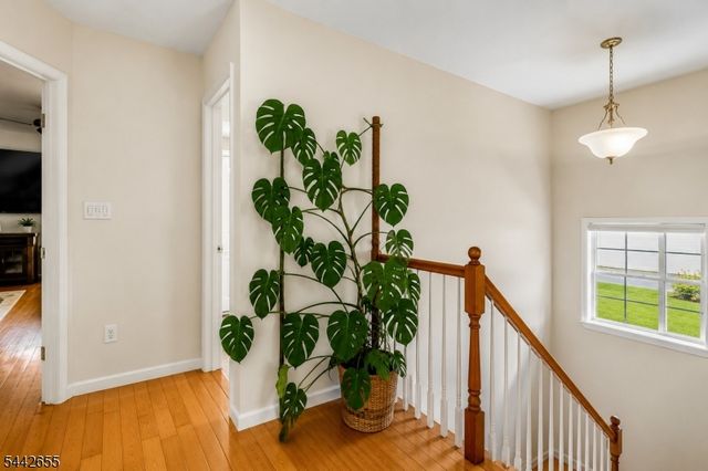 1635 Mabel St, Piscataway Twp., NJ 08854