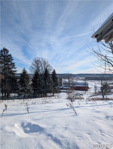 8483 North Otto Road, Otto, NY 14719