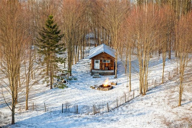 8483 North Otto Road, Otto, NY 14719