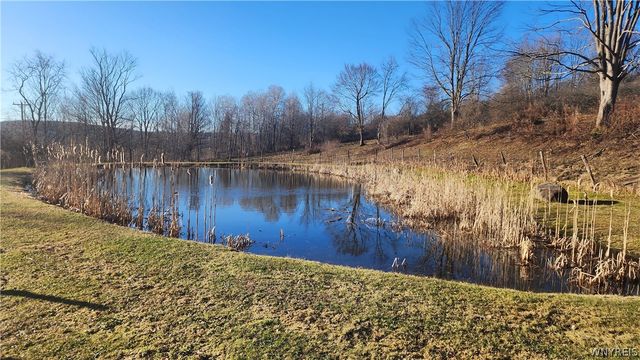 8483 North Otto Road, Otto, NY 14719