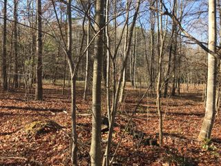 5 Hobbstown Road, Dunlap, TN 37327