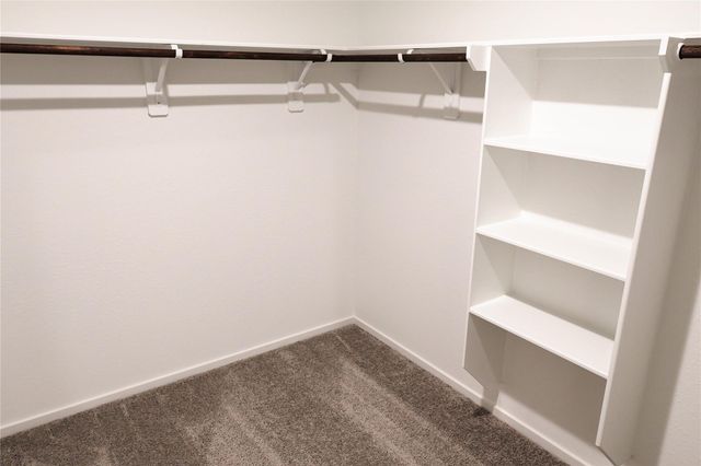 15317 Dapple Bluff Lane, Conroe, TX 77302