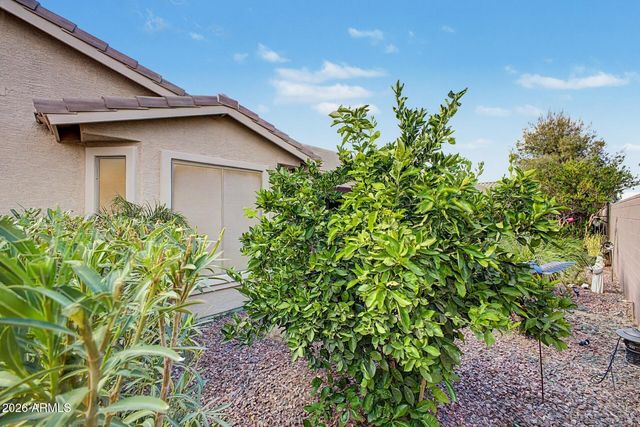 41975 W ELLINGTON Lane, Maricopa, AZ 85138