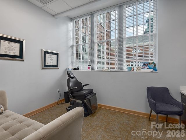 4 Vanderbilt Park Drive, Asheville, NC 28803