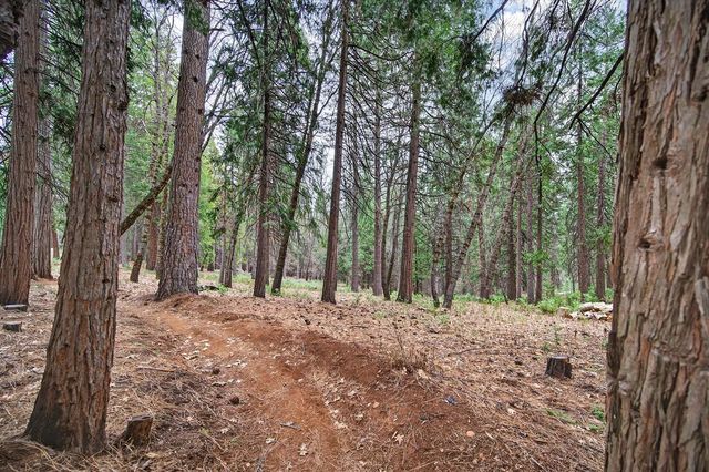 4381 Lakeridge Dr, Pollock Pines, CA 95726