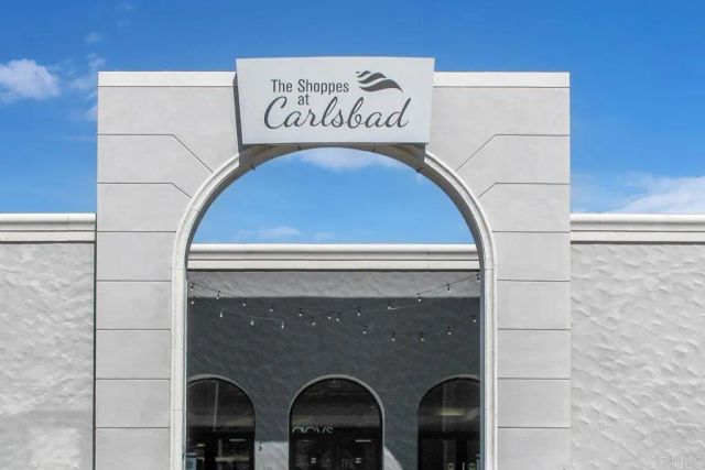 2523 Delphinium Lane, Carlsbad, CA 92008