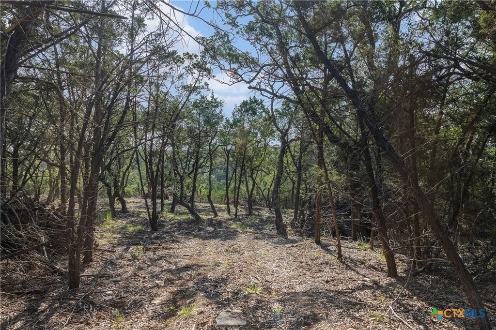 601 Mount Olive School Road, Wimberley, TX 78676