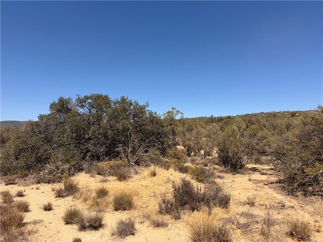 58650 Wellman Rd, Anza, CA 92539
