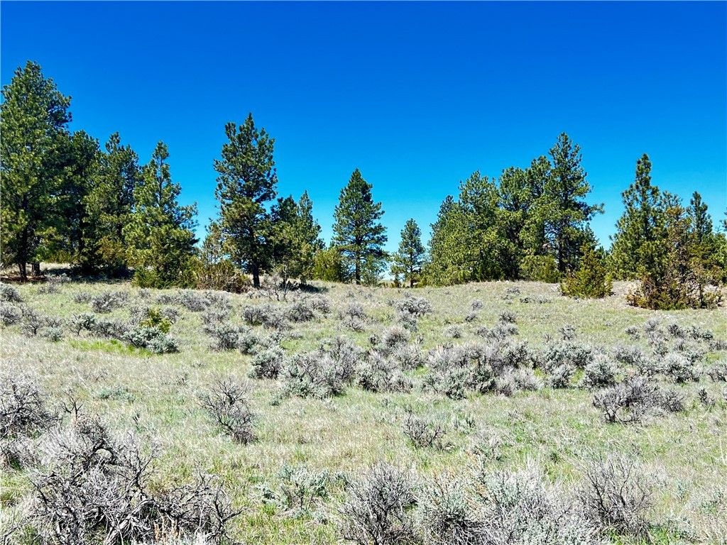 Lot 46 S Woodland ROAD, Roundup, MT 59072 photo 12