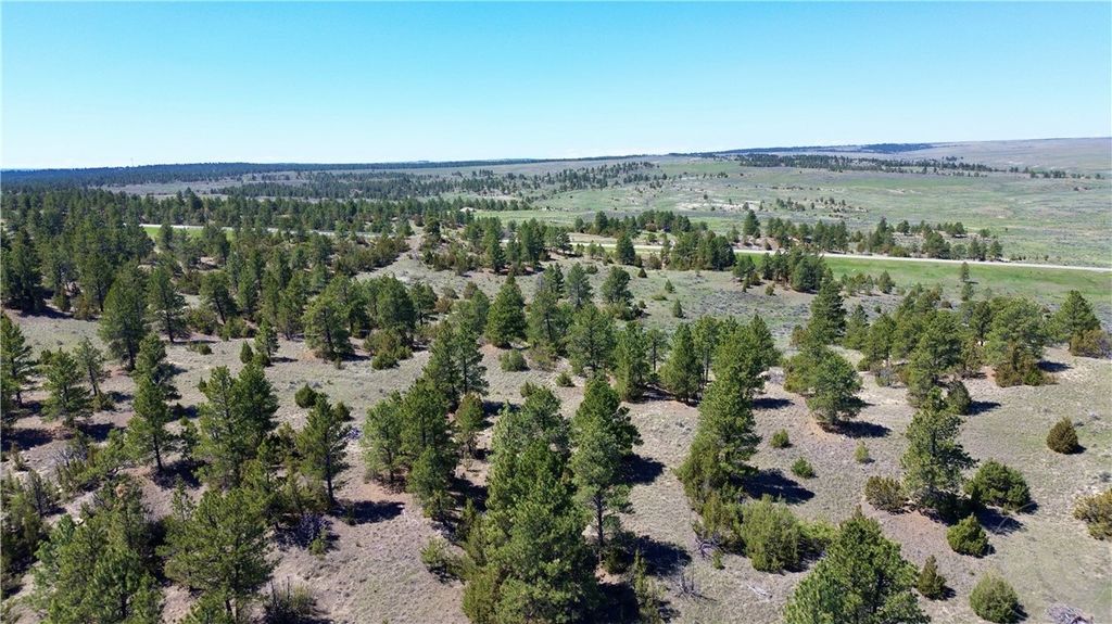 Lot 46 S Woodland ROAD, Roundup, MT 59072 photo 16