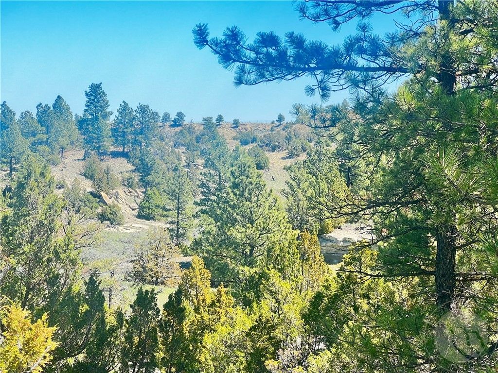 Lot 46 S Woodland ROAD, Roundup, MT 59072 photo 17