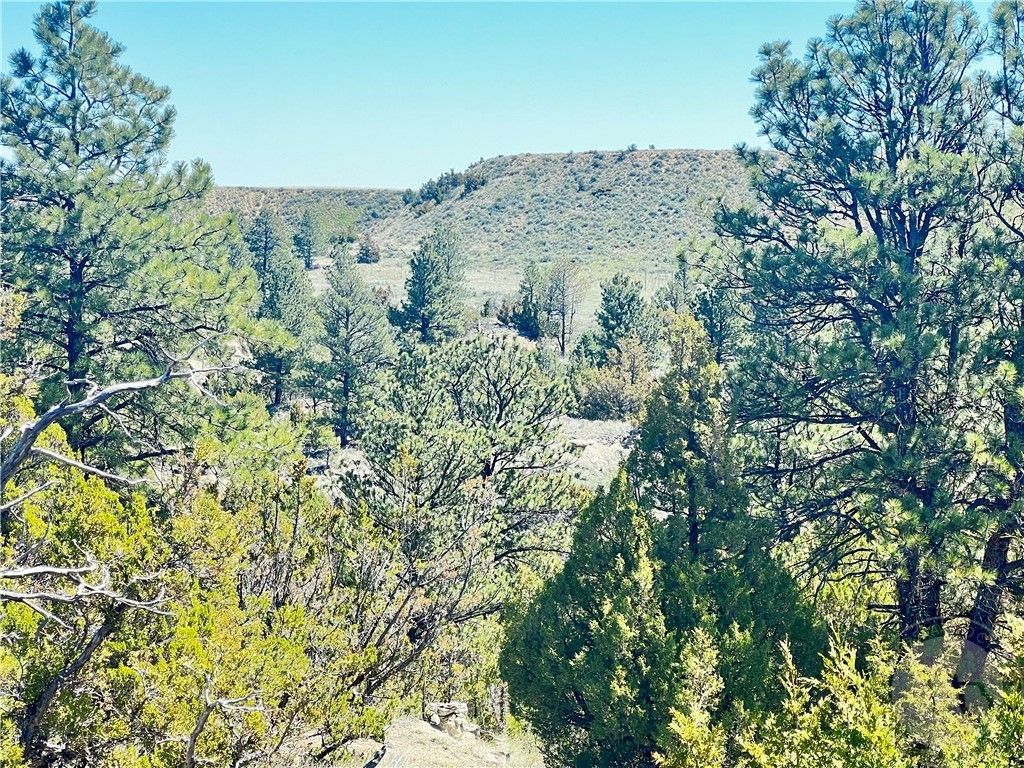Lot 46 S Woodland ROAD, Roundup, MT 59072 photo 18
