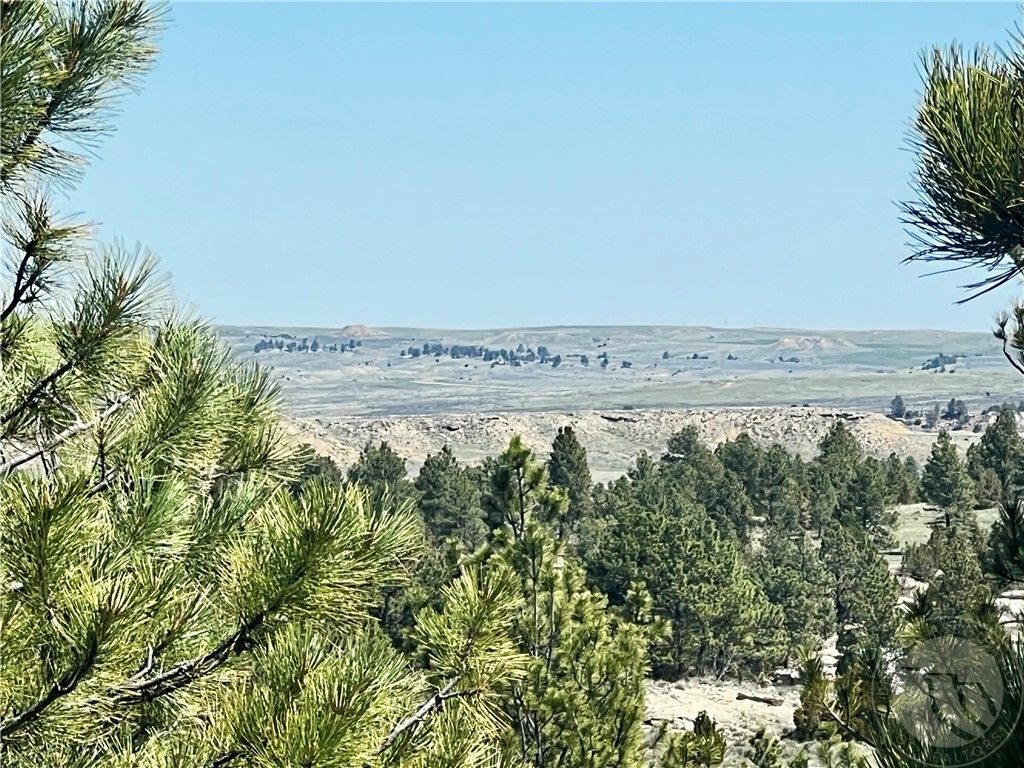 Lot 46 S Woodland ROAD, Roundup, MT 59072 photo 19