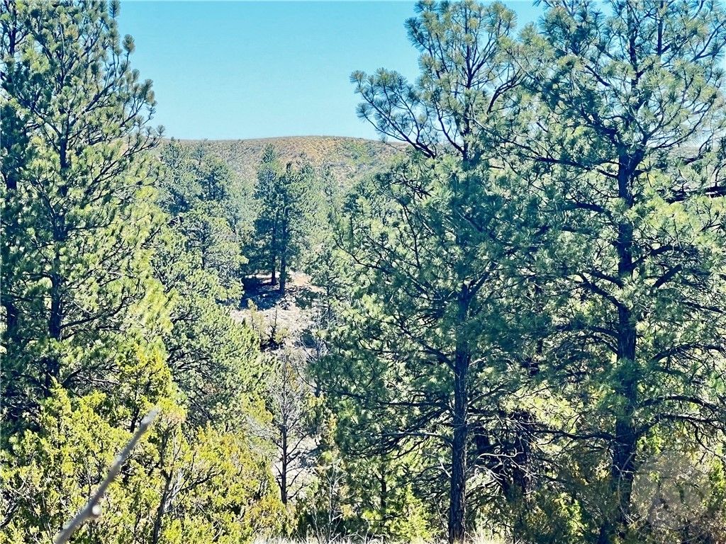 Lot 46 S Woodland ROAD, Roundup, MT 59072 photo 20