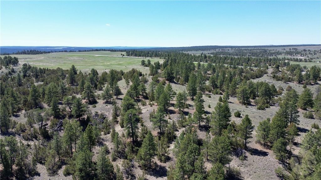 Lot 46 S Woodland ROAD, Roundup, MT 59072 photo 6