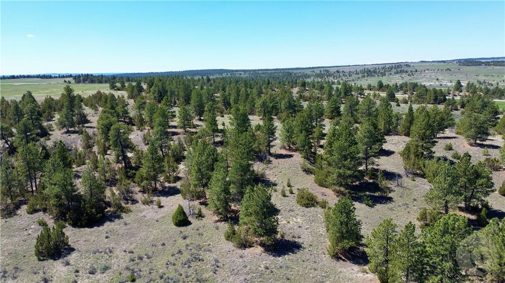 Lot 46 S Woodland ROAD, Roundup, MT 59072 photo 7