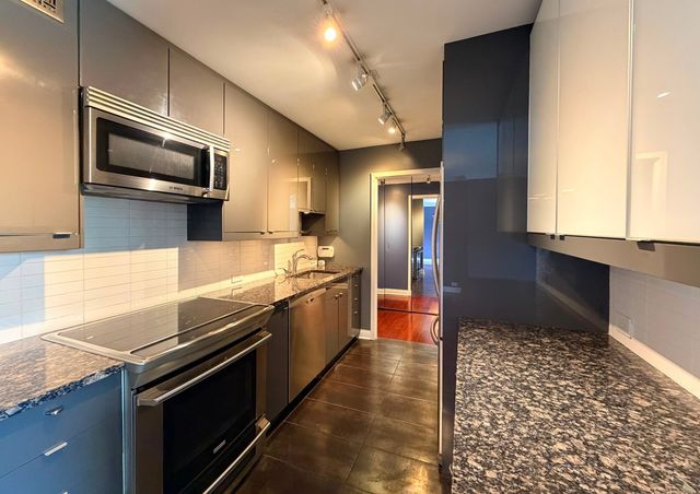 1555 N Sandburg Terrace 305K, Chicago, IL 60610