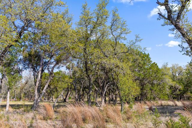 12130 Fitzhugh PL, Dripping Springs, TX 78620